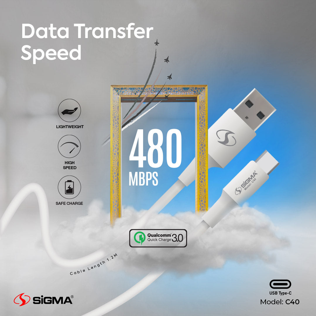 Sigma Data Cable C40 (TYPE-C) image 2