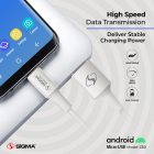 Sigma Data Cable C30 (MICRO) image 1