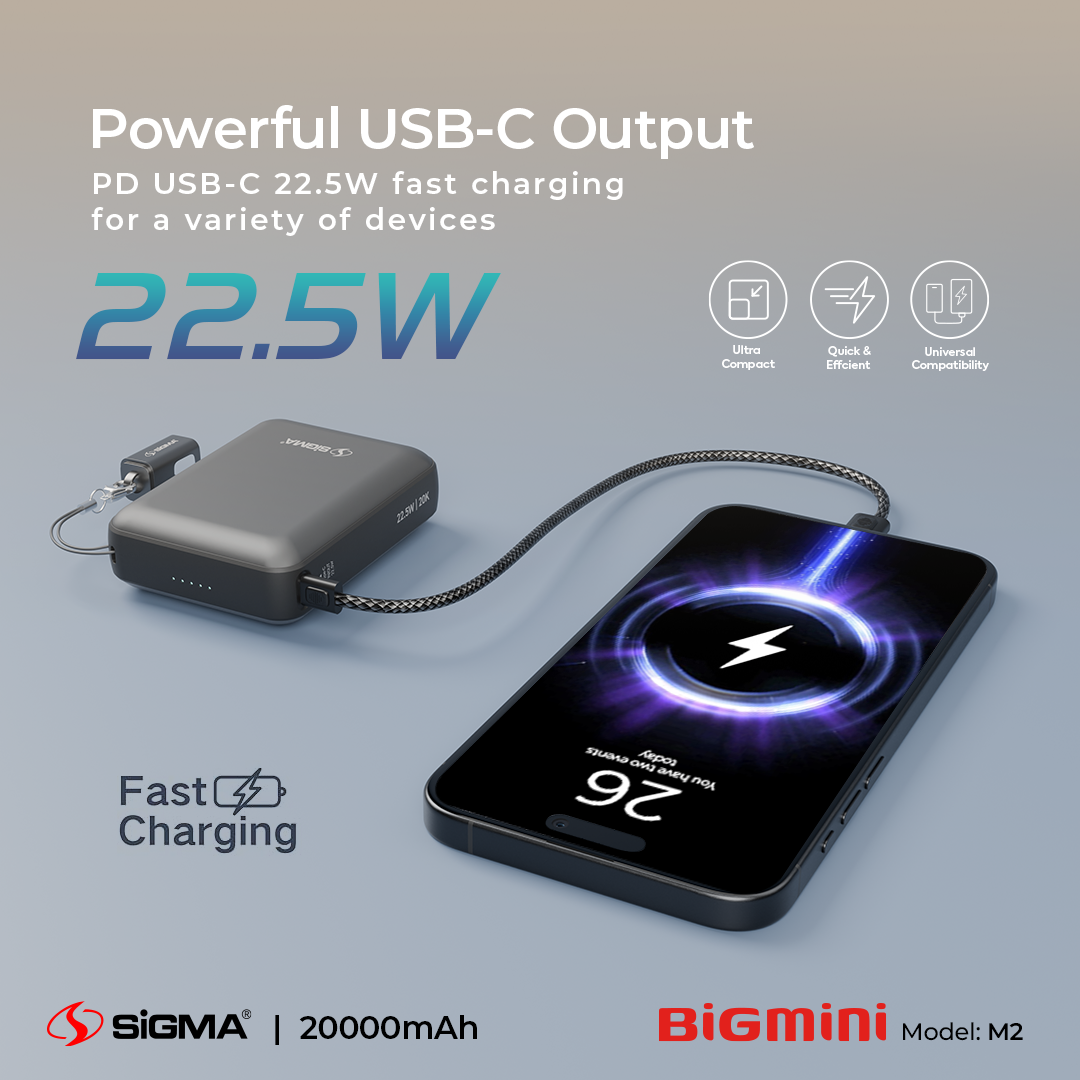 Sigma M-2 Big Mini Power Bank 20000mAh image 2