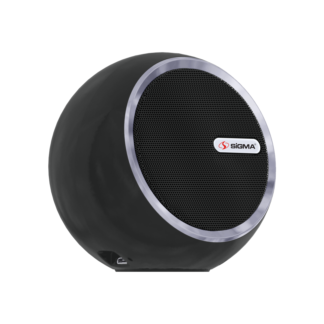 Speaker