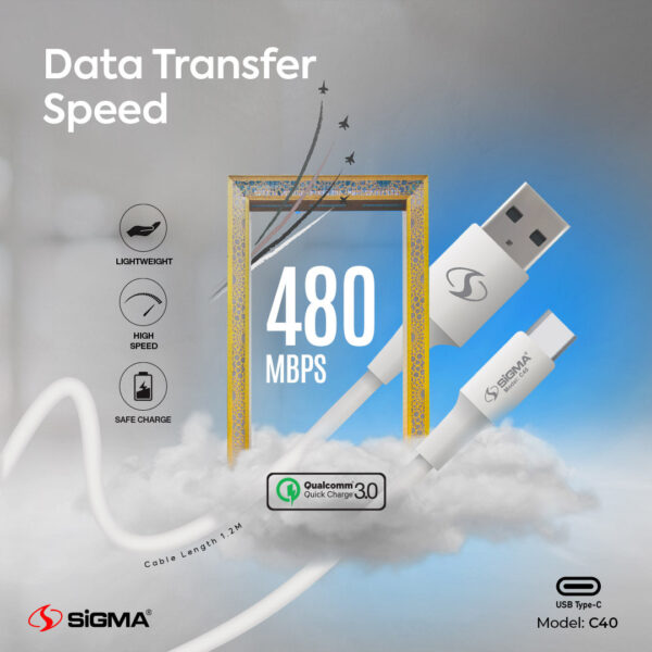 sigma data cable c40 (type c)