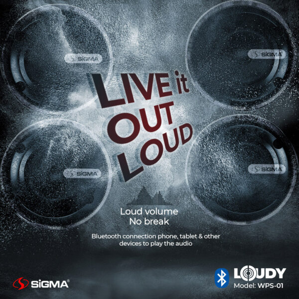 sigma loudy portable speaker wps 01 (pair)